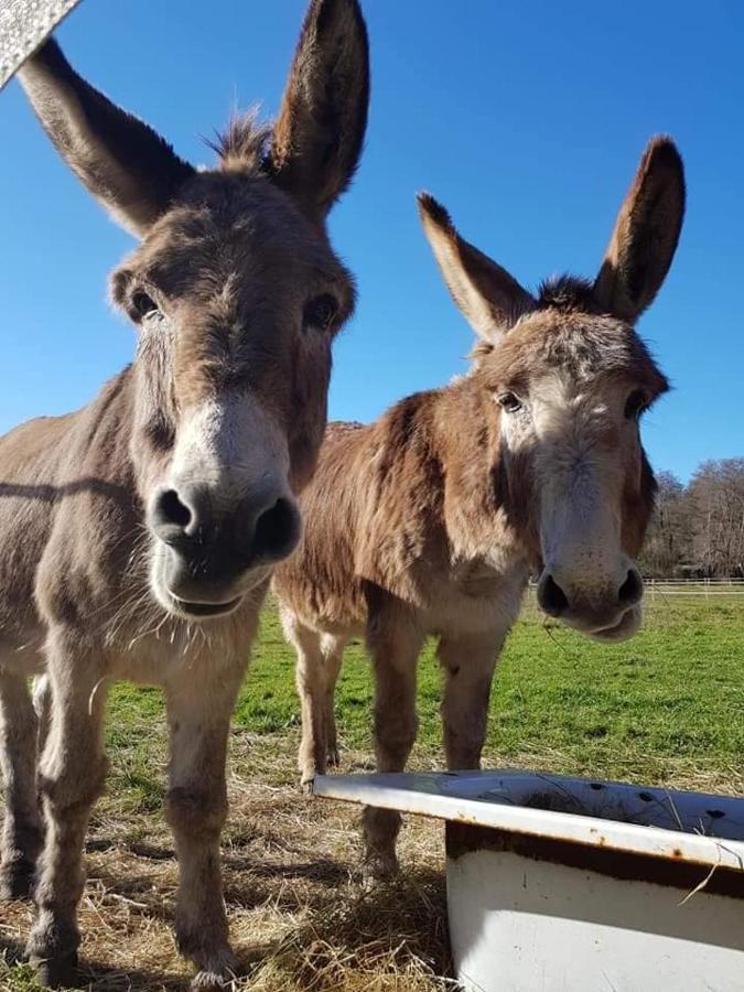 Le Tipi Arc-En-Ciel Au Bord De La Riviere Hotel Mios Kültér fotó